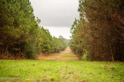 County Road 8, Laurel, MS 39443 photo 8