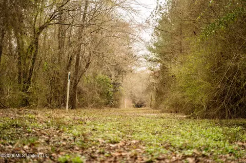 County Road 8, Laurel, MS 39443 photo 9
