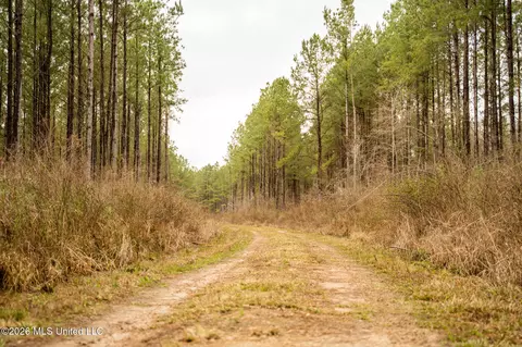 County Road 8, Laurel, MS 39443 photo 3