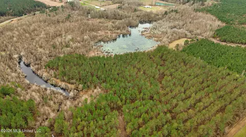 County Road 8, Laurel, MS 39443 photo 27