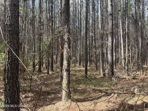 0 Alfred Agee Rd, Morton, MS 39117 photo 10