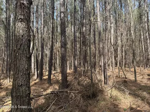 0 Alfred Agee Rd, Morton, MS 39117 photo 11