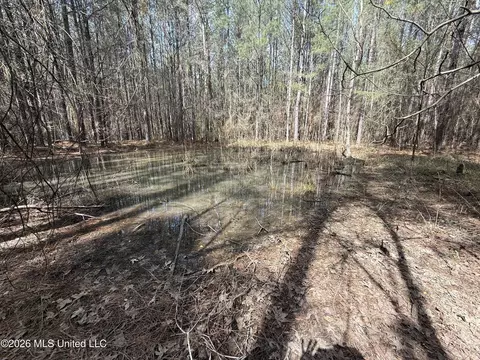 0 Alfred Agee Rd, Morton, MS 39117 photo 8