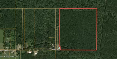 0 Alfred Agee Rd, Morton, MS 39117