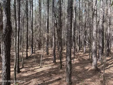 0 Alfred Agee Rd, Morton, MS 39117 photo 2