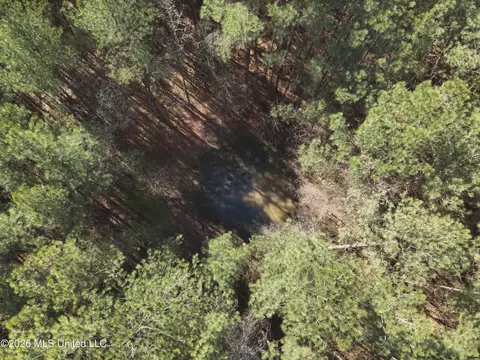 0 Alfred Agee Rd, Morton, MS 39117 photo 7