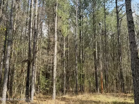0 Alfred Agee Rd, Morton, MS 39117 photo 12