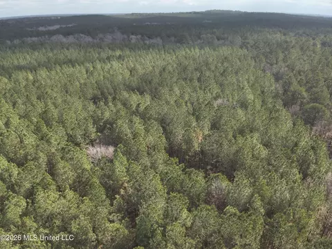 0 Alfred Agee Rd, Morton, MS 39117 photo 13