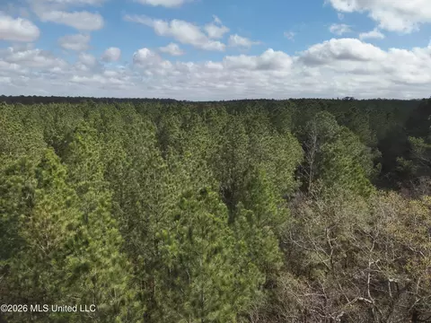0 Alfred Agee Rd, Morton, MS 39117 photo 14