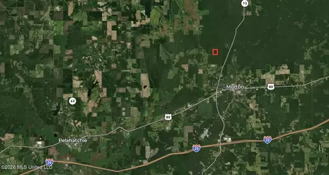 0 Alfred Agee Rd, Morton, MS 39117 photo 15