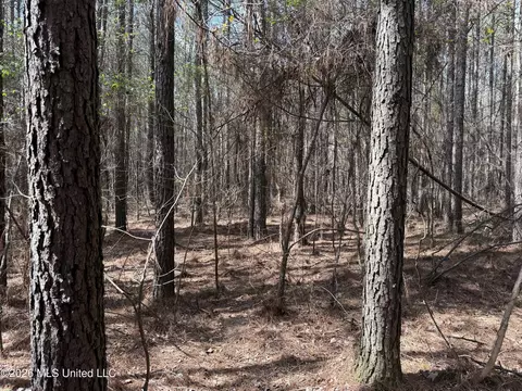 0 Alfred Agee Rd, Morton, MS 39117 photo 6