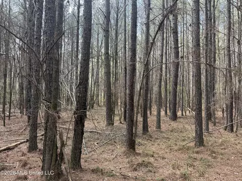0 Alfred Agee Rd, Morton, MS 39117 photo 9