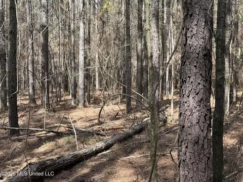 0 Alfred Agee Rd, Morton, MS 39117 photo 5