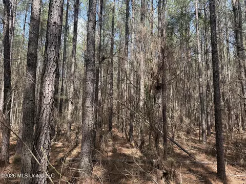 0 Alfred Agee Rd, Morton, MS 39117 photo 4