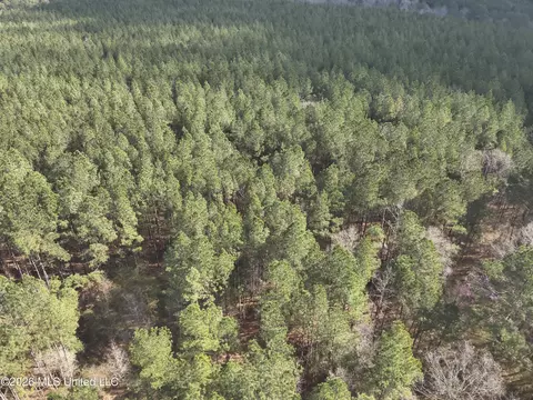 0 Alfred Agee Rd, Morton, MS 39117 photo 3