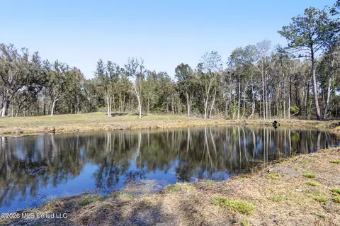 View/Area - 3154 Sally Parker Rd, Lucedale, MS 39452 photo 1 of 4