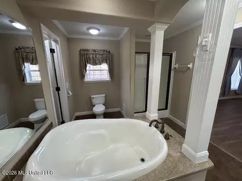 Bath - 7089 Brown Rd, Smithdale, MS 39664 photo 2 of 5