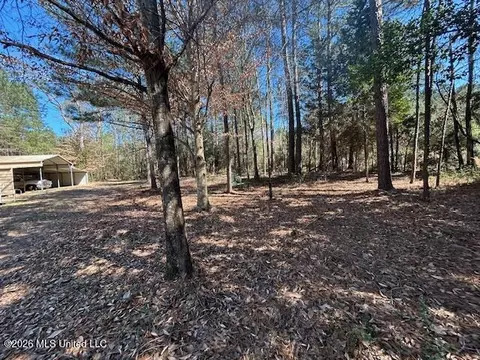 Exterior - 7089 Brown Rd, Smithdale, MS 39664 photo 1 of 11