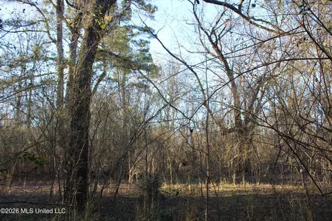 3641 Miller Rd, Olive Branch, MS 38654