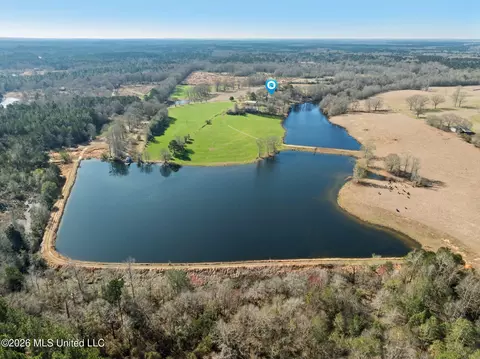 119 Betty Ln, Poplarville, MS 39470