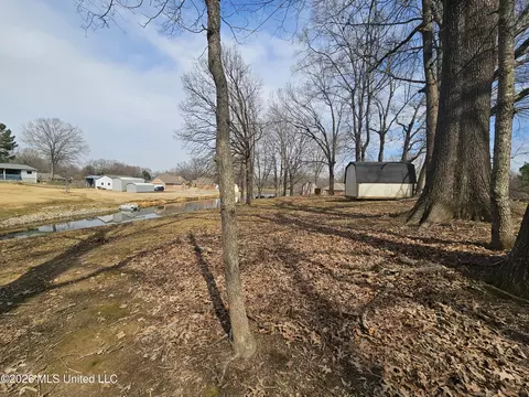4625 Wealthy Cv, Horn Lake, MS 38637 photo 40
