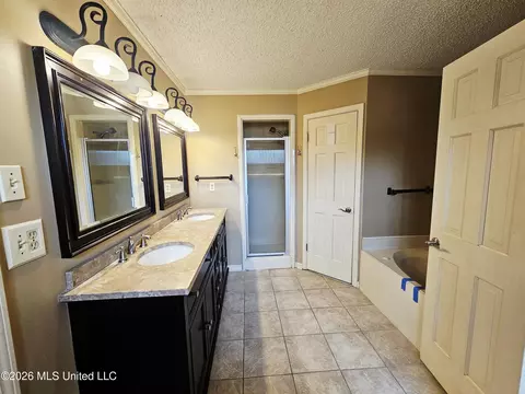 4625 Wealthy Cv, Horn Lake, MS 38637 photo 16
