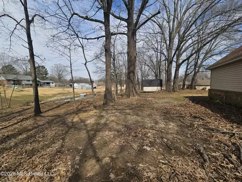 4625 Wealthy Cv, Horn Lake, MS 38637 photo 39