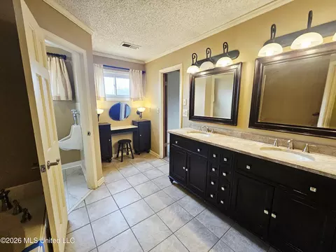 4625 Wealthy Cv, Horn Lake, MS 38637 photo 15