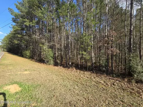 NE Fair River Drive, Brookhaven, MS 39601 photo 3