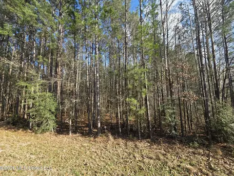 NE Fair River Drive, Brookhaven, MS 39601 photo 5