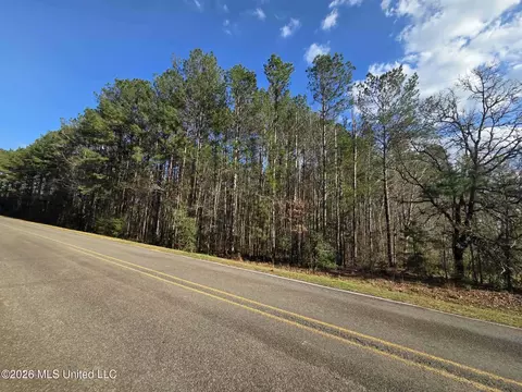 NE Fair River Drive, Brookhaven, MS 39601 photo 2