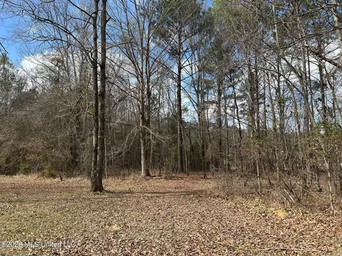 10 2 Acres Barnes Rd, Florence, MS 39073 photo 4