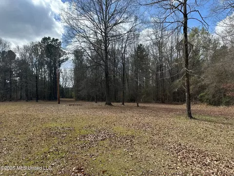 10 2 Acres Barnes Rd, Florence, MS 39073 photo 5