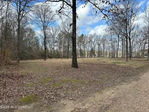 10 2 Acres Barnes Rd, Florence, MS 39073 photo 3