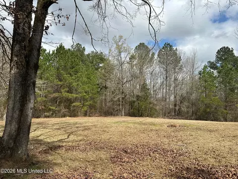 23 Acres Barnes Rd, Florence, MS 39073 photo 8