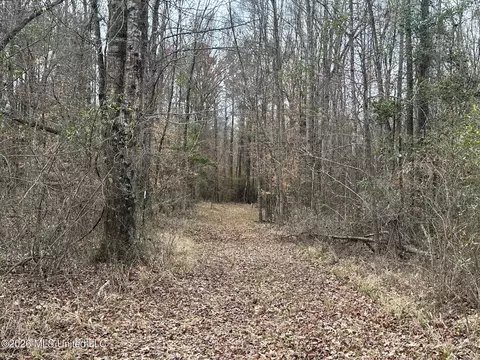 23 Acres Barnes Rd, Florence, MS 39073 photo 6