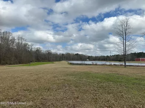 23 Acres Barnes Rd, Florence, MS 39073 photo 6