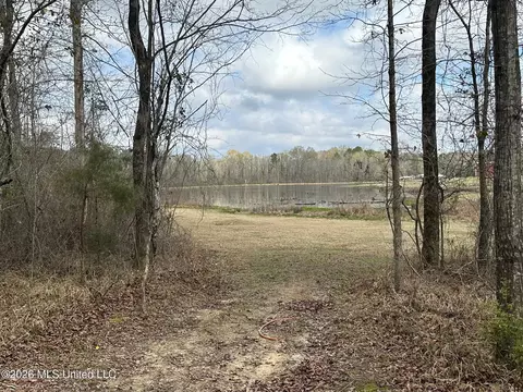 23 Acres Barnes Rd, Florence, MS 39073 photo 4