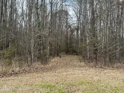 23 Acres Barnes Rd, Florence, MS 39073 photo 7
