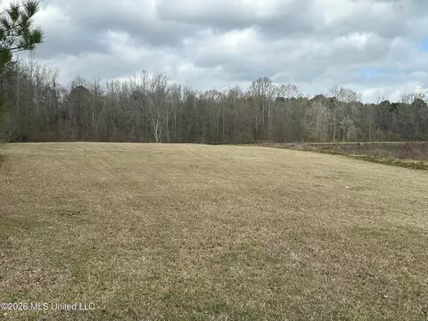 23 Acres Barnes Rd, Florence, MS 39073 photo 2