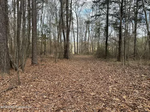 23 Acres Barnes Rd, Florence, MS 39073 photo 3