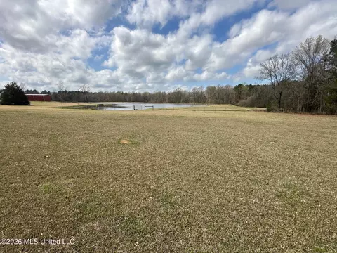 12 5 Acres Barnes Rd, Florence, MS 39073 photo 3