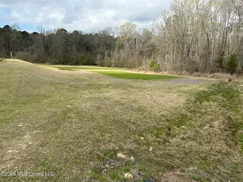 12 5 Acres Barnes Rd, Florence, MS 39073 photo 6