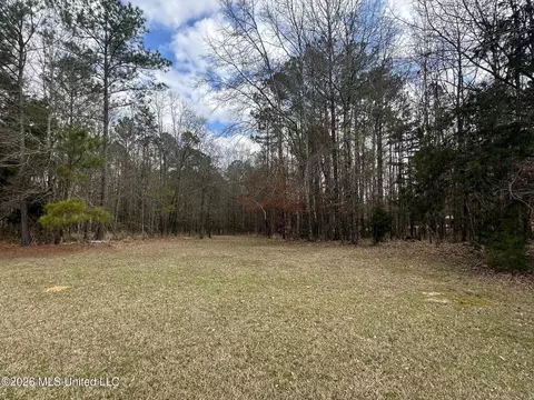 12 5 Acres Barnes Rd, Florence, MS 39073 photo 4