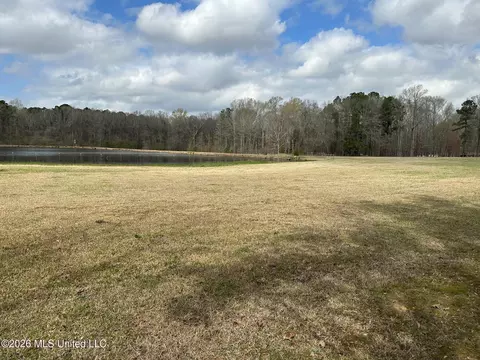 12 5 Acres Barnes Rd, Florence, MS 39073 photo 5