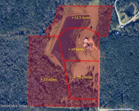 12 5 Acres Barnes Rd, Florence, MS 39073