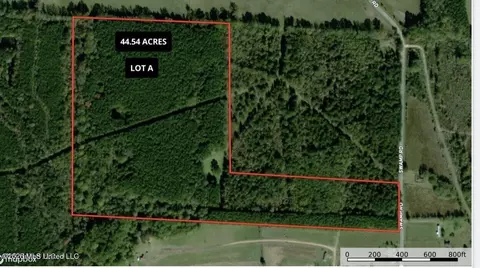 Swamp Road, Carthage, MS 39051