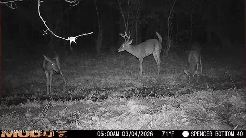 Bogue Chitto Road, Bogue Chitto, MS 39629