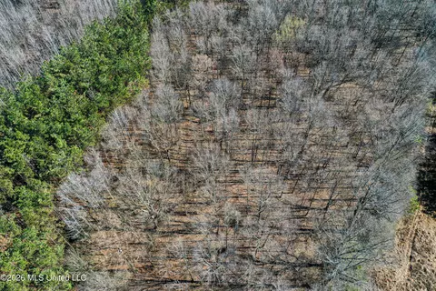 Ms-9, Bruce, MS 38915 photo 12