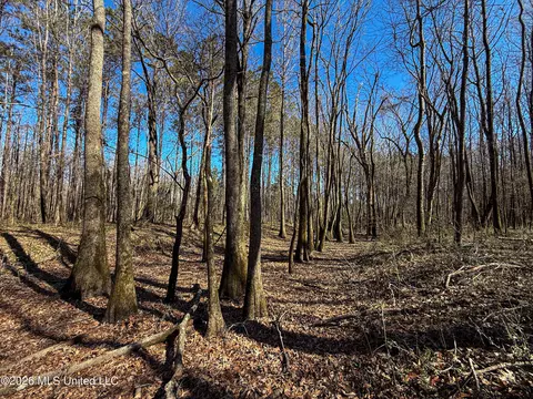 Ms-9, Bruce, MS 38915 photo 19